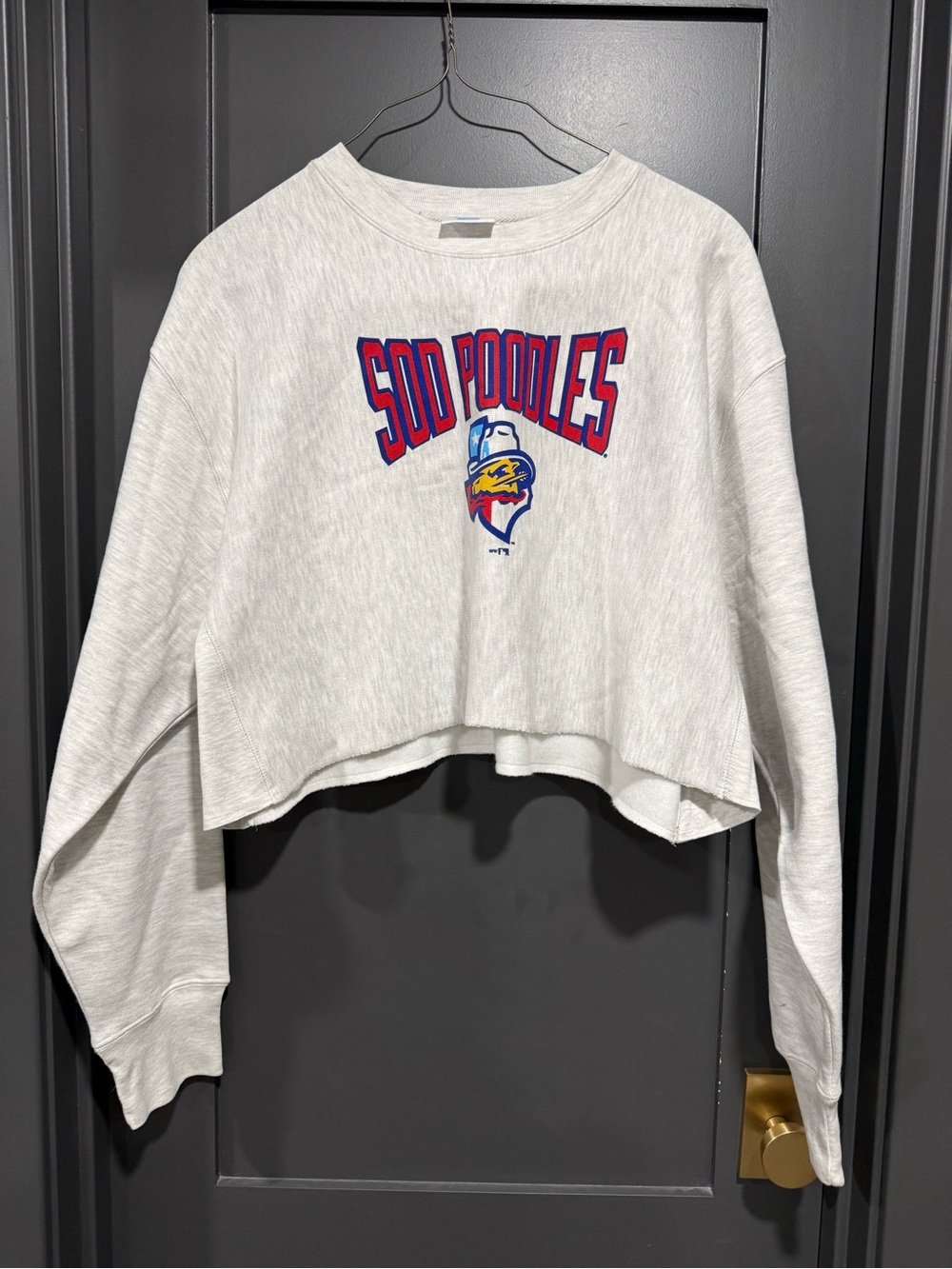 Cropped Grey Graphic Sweatshirt - Amarillo SOD POODLES